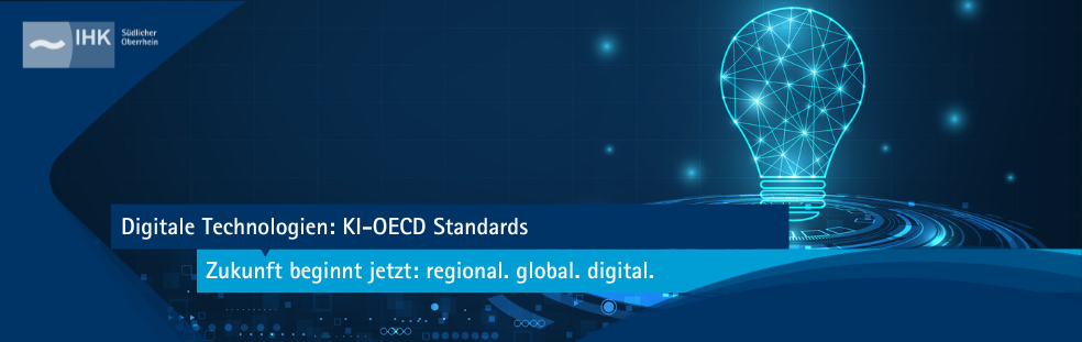 Bannerbild OECD Standards