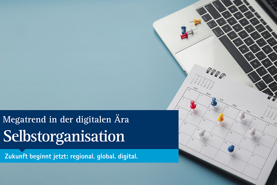 Indexbild Selbstorganisation